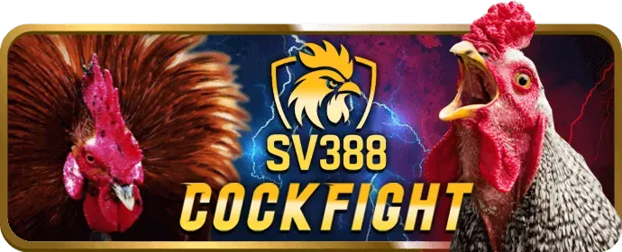 Tại sao chọn ph88 đá gà